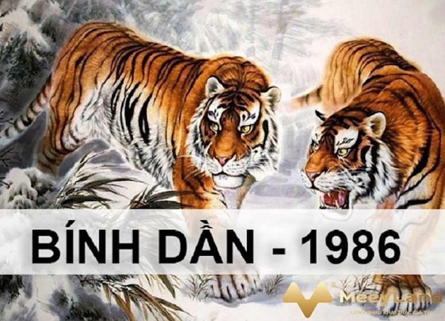 Tuổi Bính Dần sinh năm 1986 - Bí quyết thành công và hạnh phúc